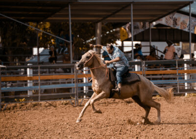 Rodeo Scene - Man on Horse